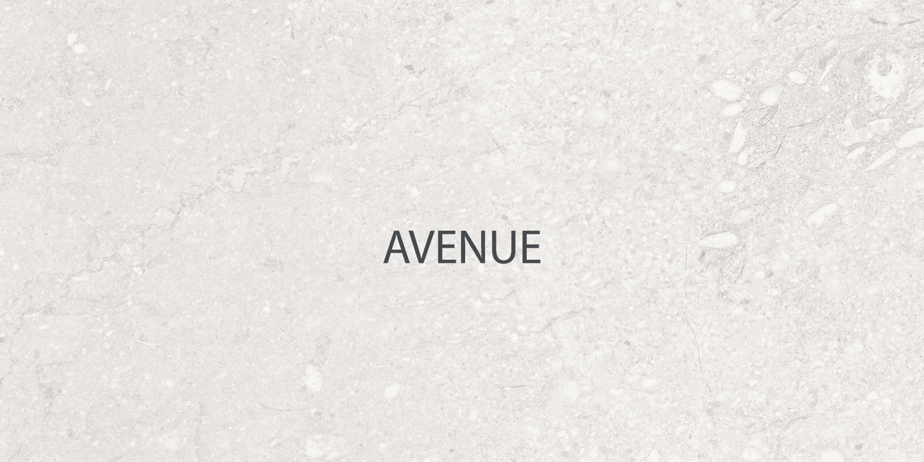 Avenue porcelain tile