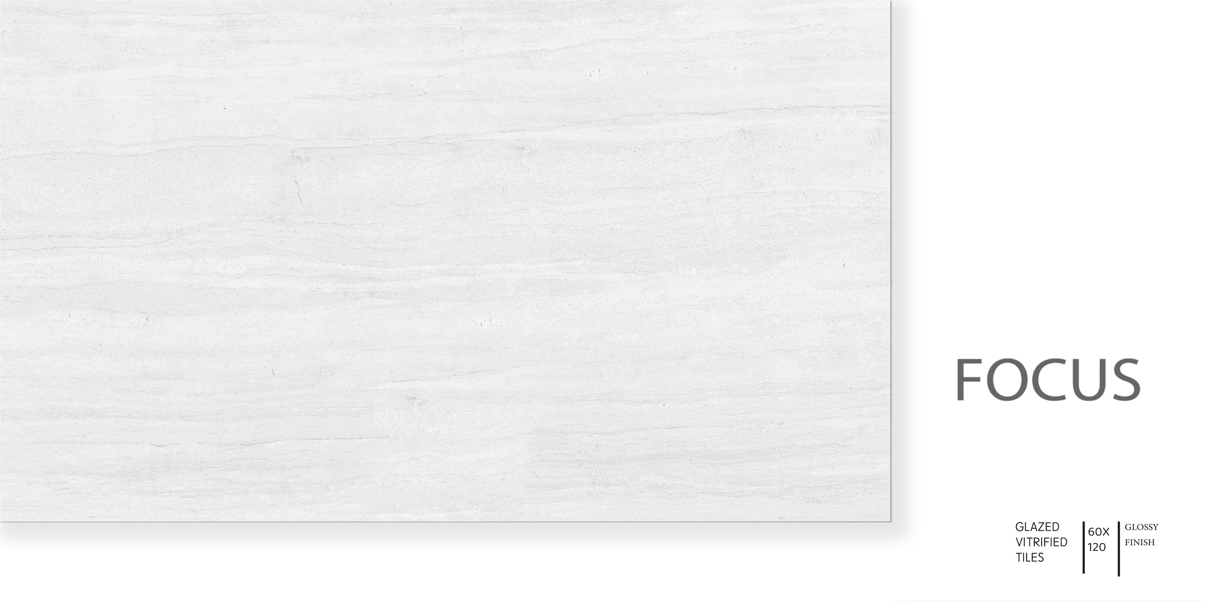 Focus porcelain tile